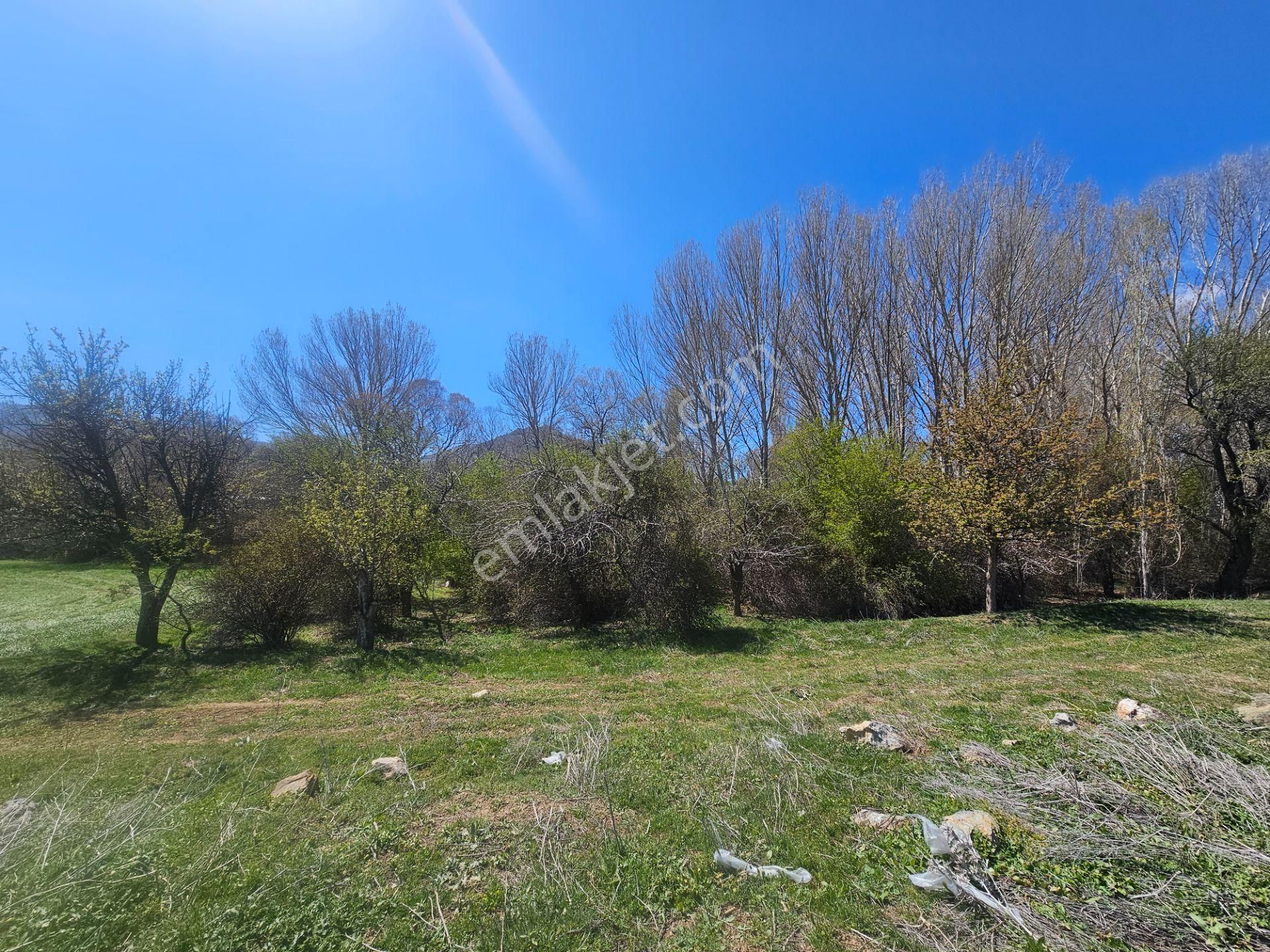 İşyapar Gayrimenkulden Konya Merkeze 20 Dakika Mesafede Bahçe - Görsel 15