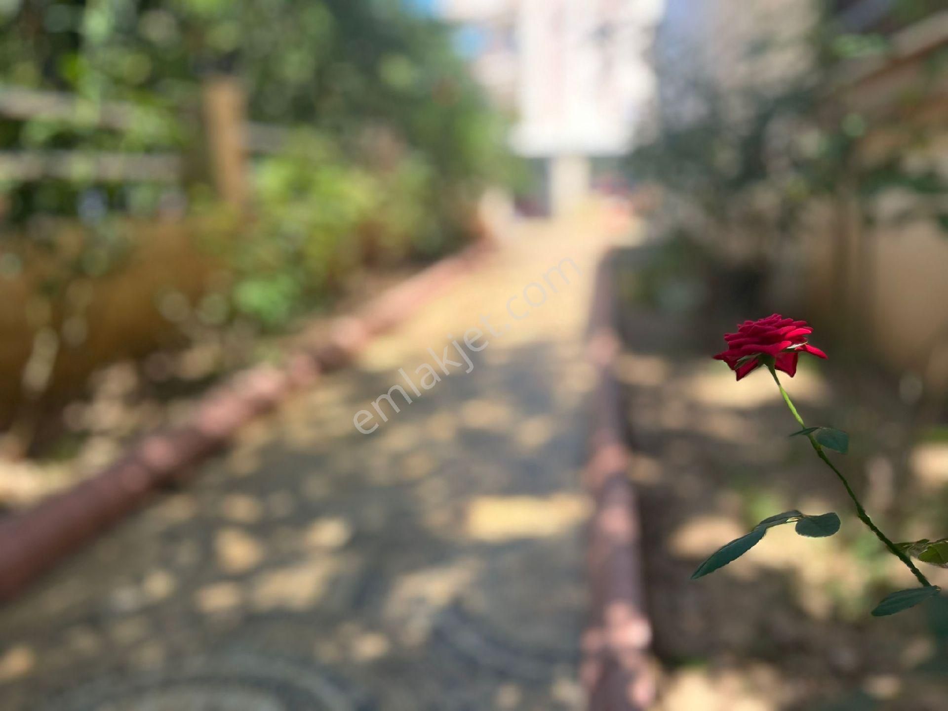 Gümüldür Bölgesinde Denize 100mt Mesafe'de Villa - Görsel 4