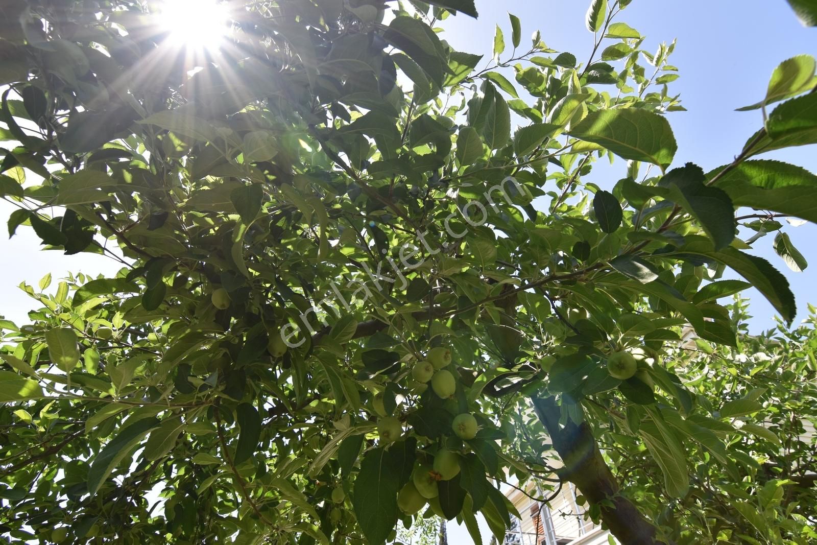 İzmir Kemalpaşa Örnekköy'de Satılık Arsa & Tarla & Villa - Görsel 13