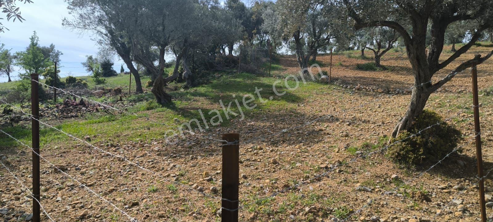 Acil...yukarı Sütçüler - Görsel 7