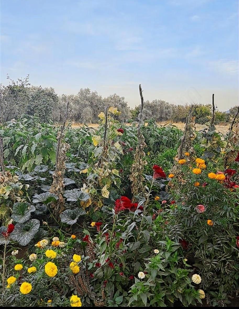 Muğla Yatağan Turgut Satılık İmarli Arsa ! - Görsel 14