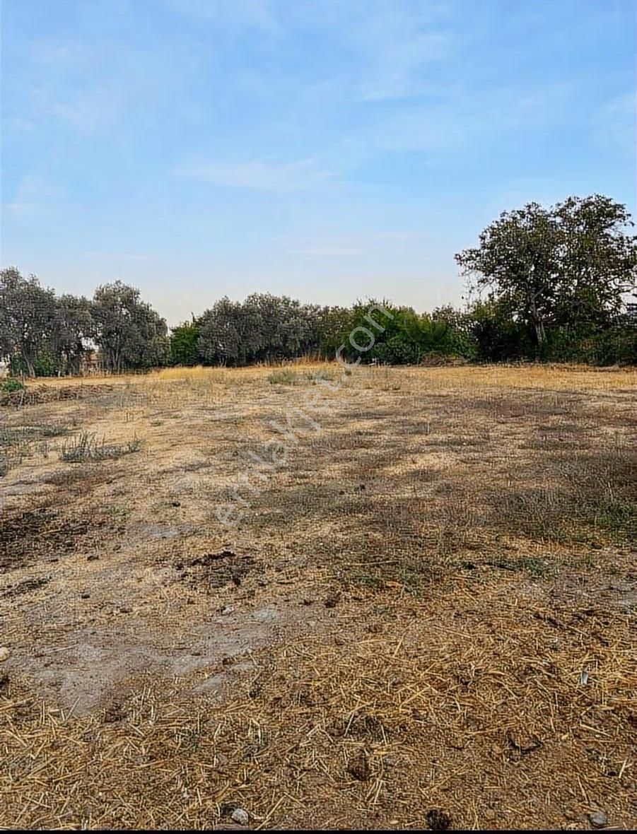 Muğla Yatağan Turgut Satılık İmarli Arsa ! - Görsel 13