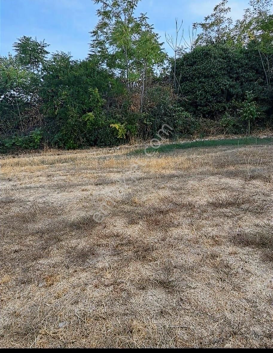 Muğla Yatağan Turgut Satılık İmarli Arsa ! - Görsel 8