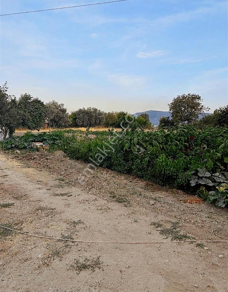Muğla Yatağan Turgut Satılık İmarli Arsa ! - Görsel 5
