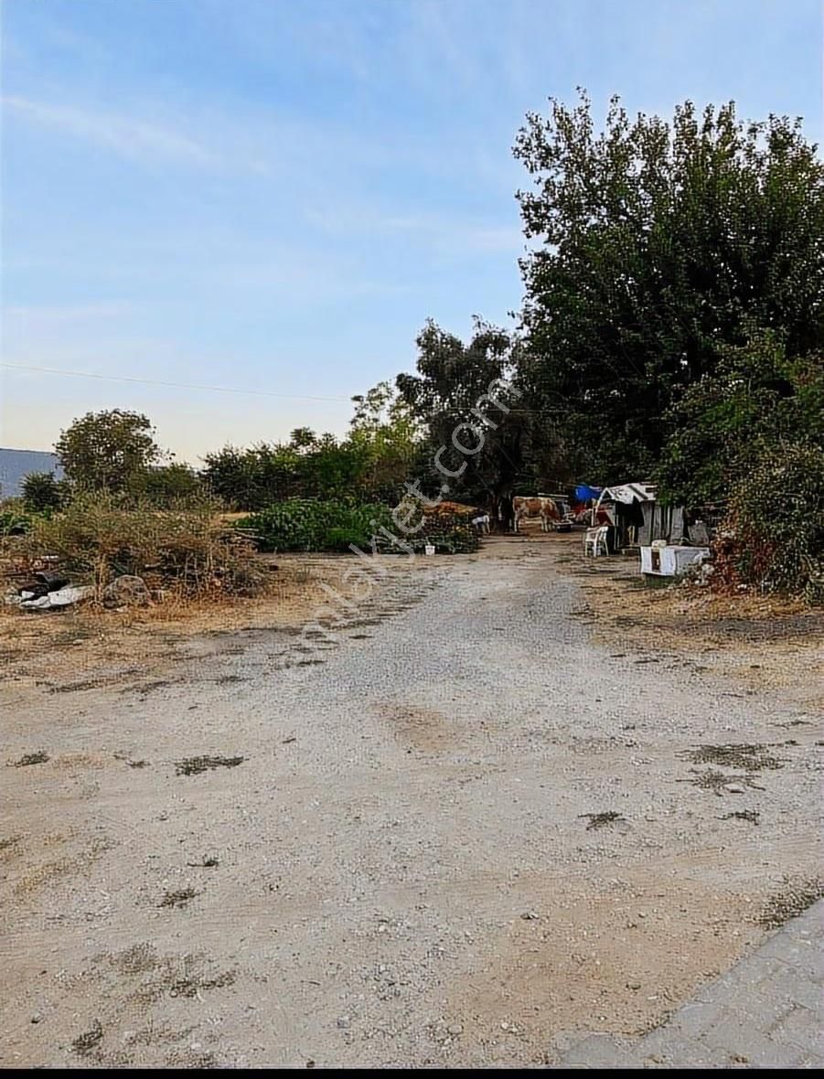 Muğla Yatağan Turgut Satılık İmarli Arsa ! - Görsel 16