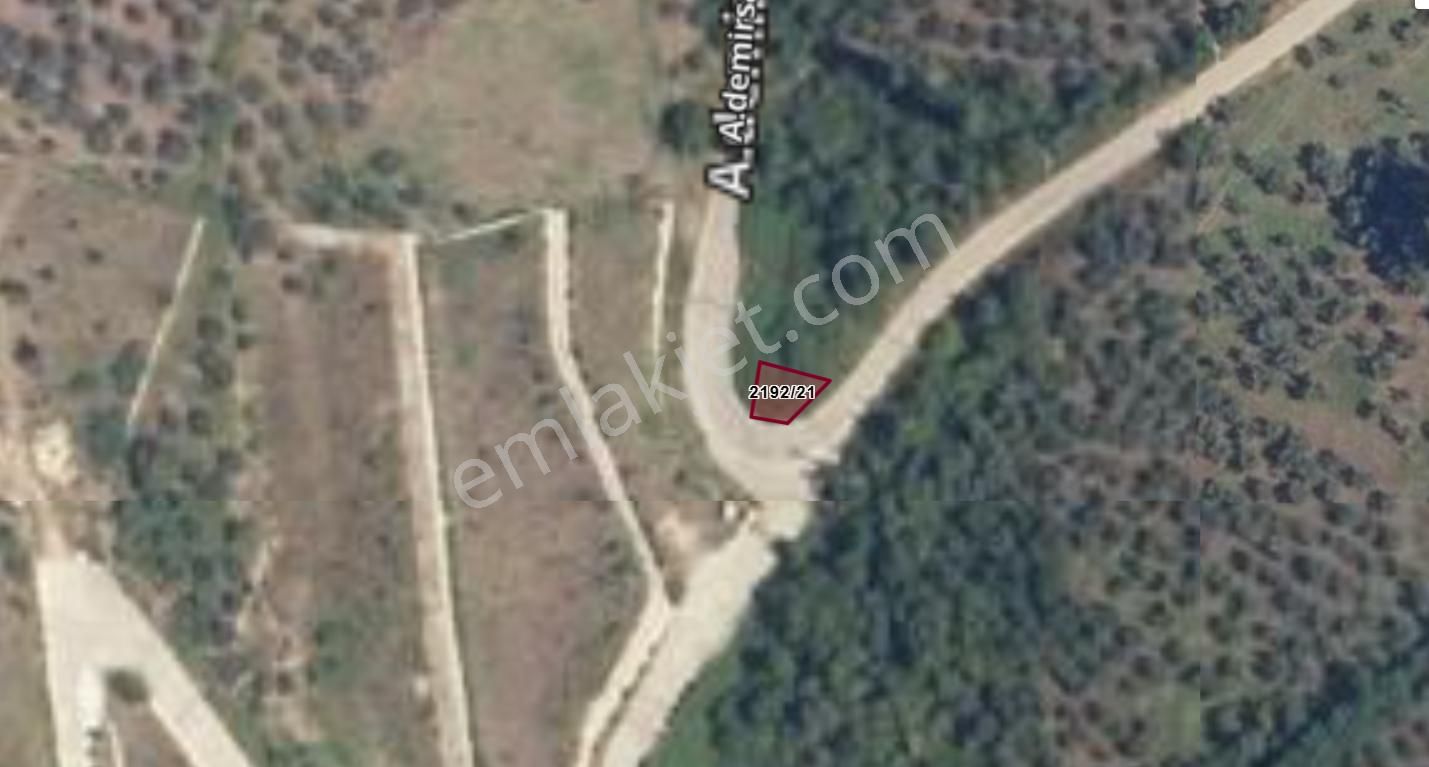 Bursa Gemlik Kurşunluda Müstakil Tapu Deniz Manzaralı Ana Yola Cephe Satılık Hobi Bahçesi