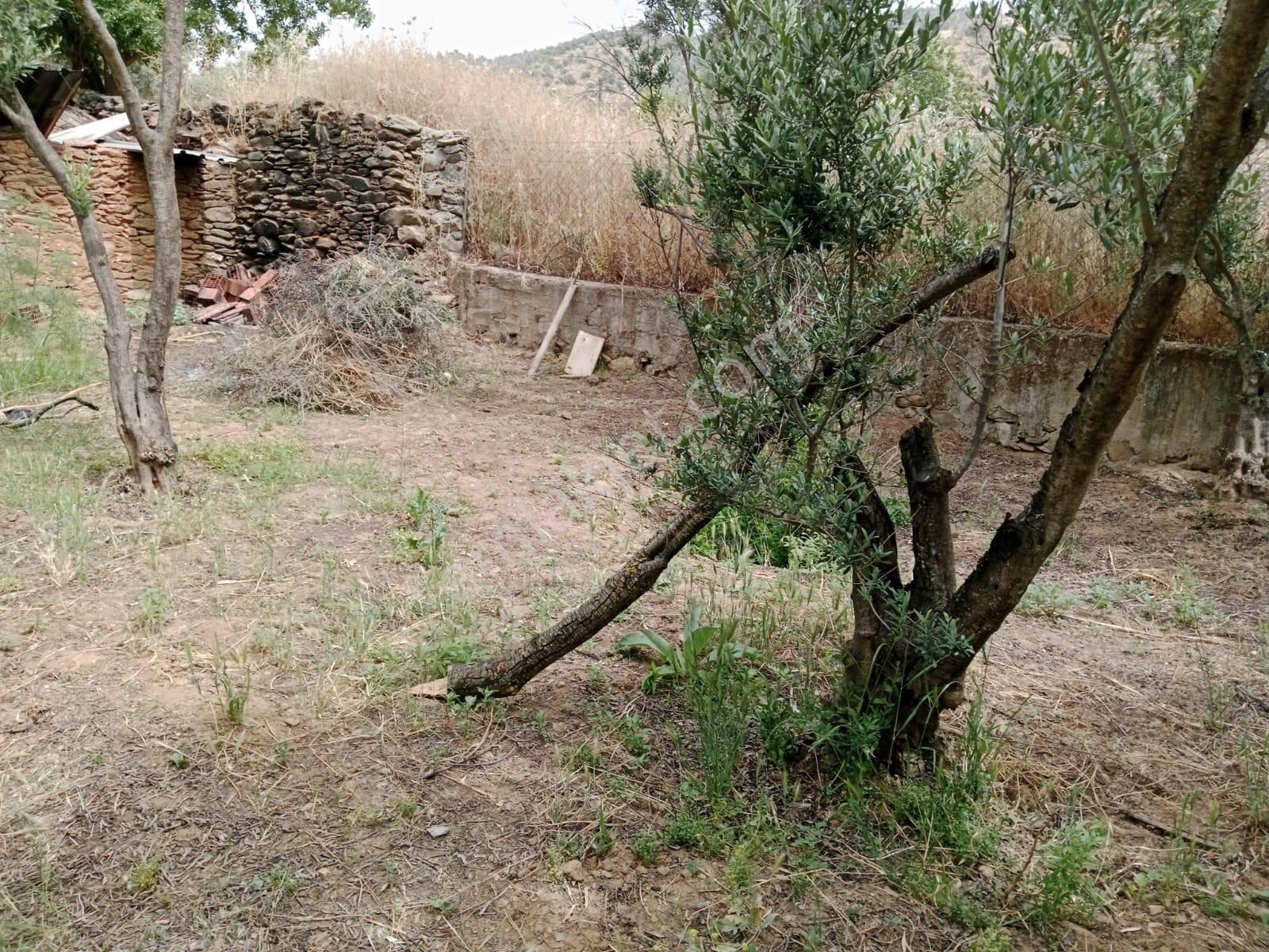 Bayındır Yeşilova Satılık 414 M2 Kargir Ev Ve Arsa