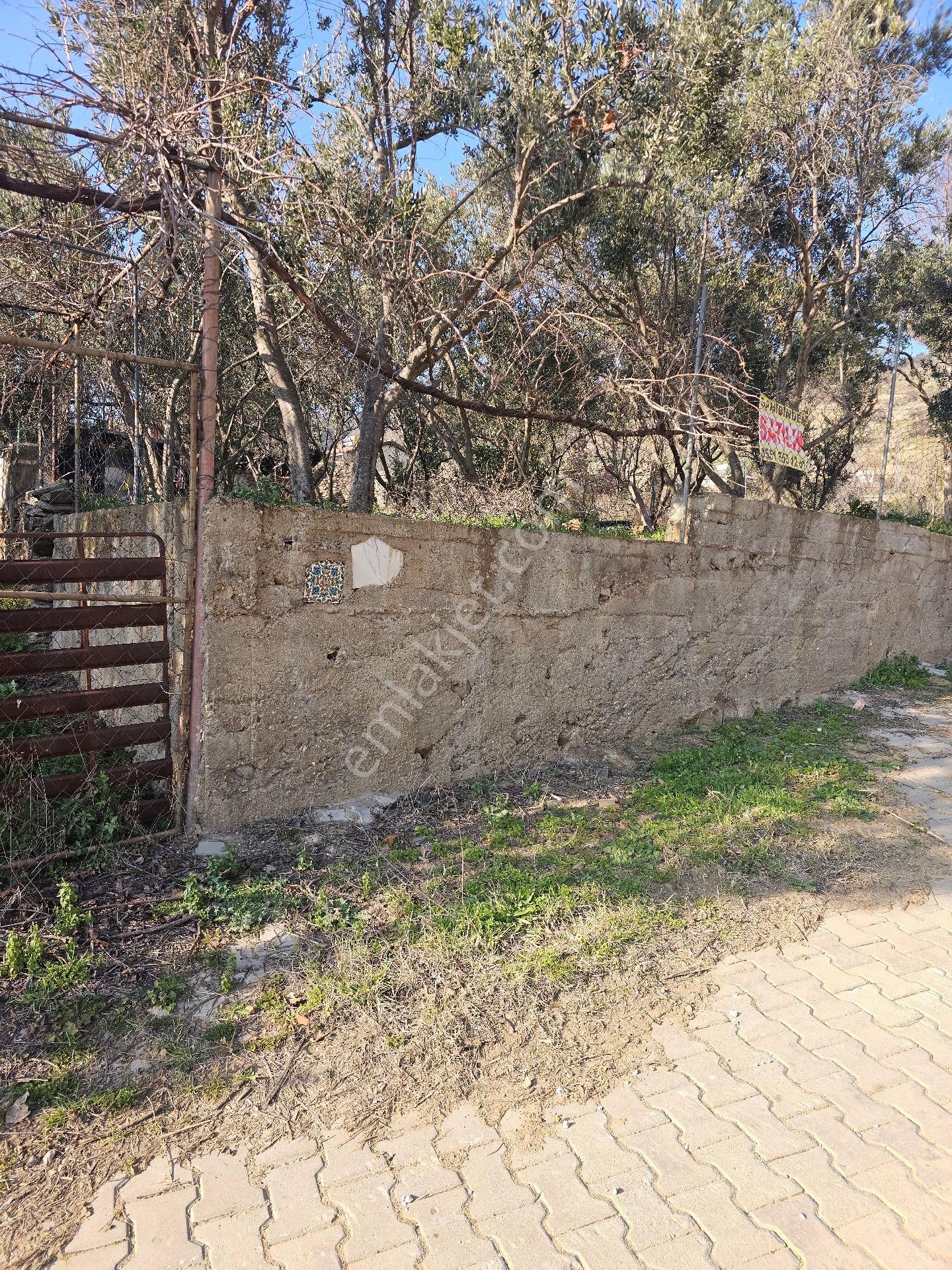 Bayındır Yeşilova Satılık 414 M2 Kargir Ev Ve Arsa - Görsel 3