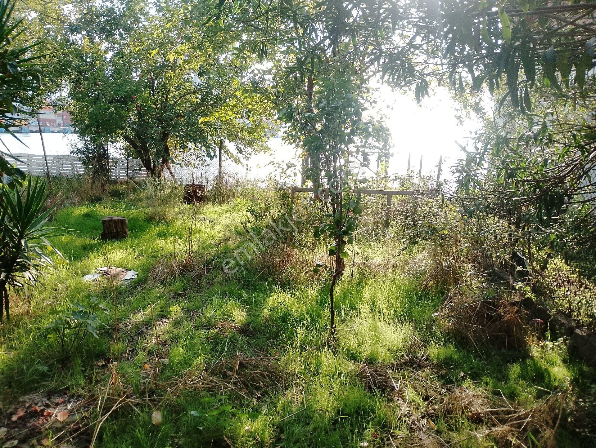 Körfez Mimarsinan Da Denize Sıfır Tripleks 518m2 Arsa İçinde - Görsel 20