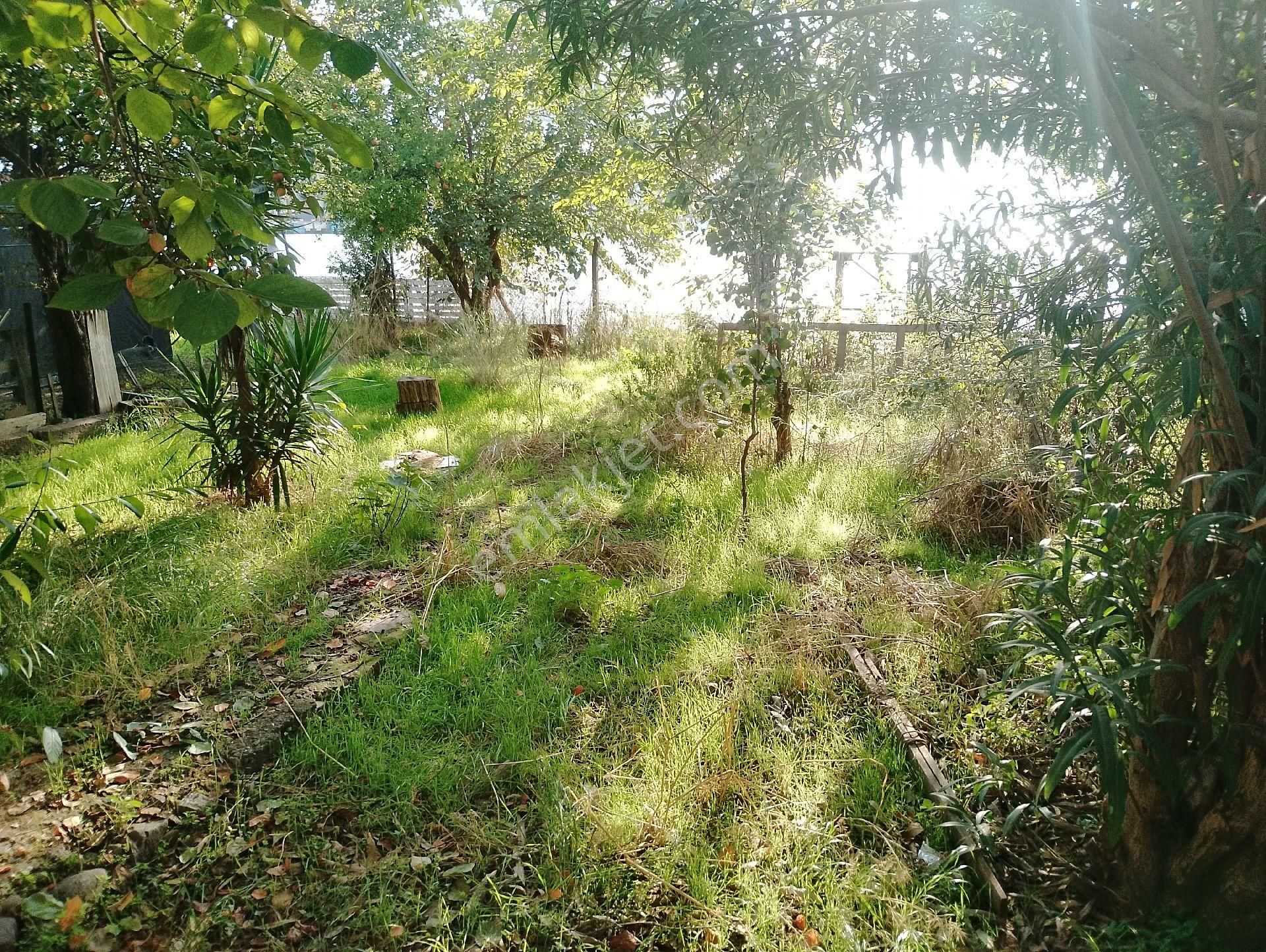 Körfez Mimarsinan Da Denize Sıfır Tripleks 518m2 Arsa İçinde - Görsel 21