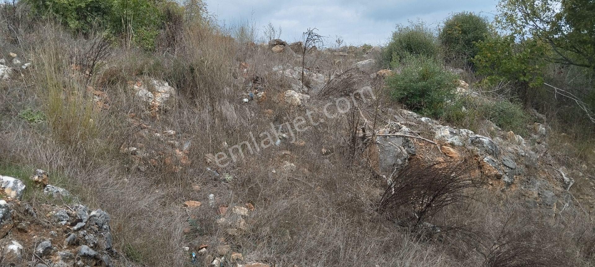 Balıkesir Manyas Değirmenboğazı Mah. İmarlı 1.272 M2 Arsa - Görsel 24