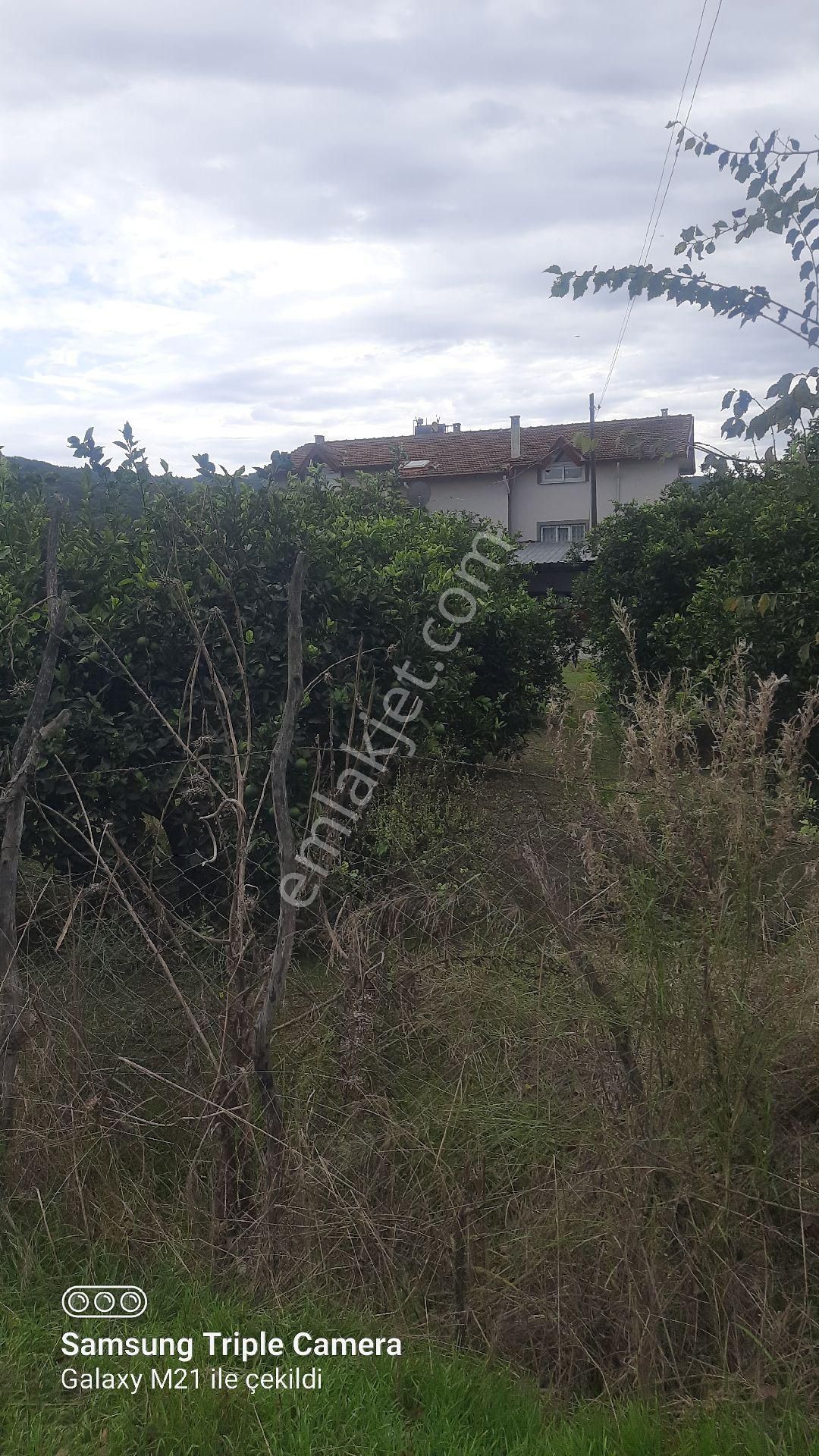 2000 M2 Rıza-i Taksimli Yerleşim İçi Yer - Görsel 6