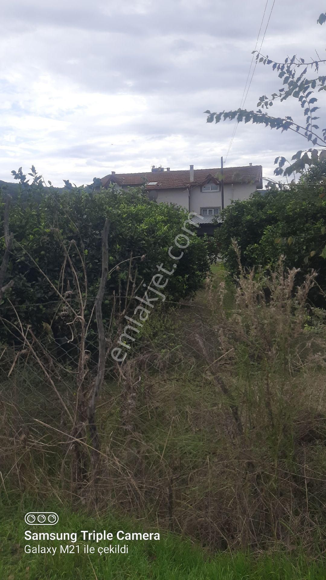 2000 M2 Rıza-i Taksimli Yerleşim İçi Yer - Görsel 7