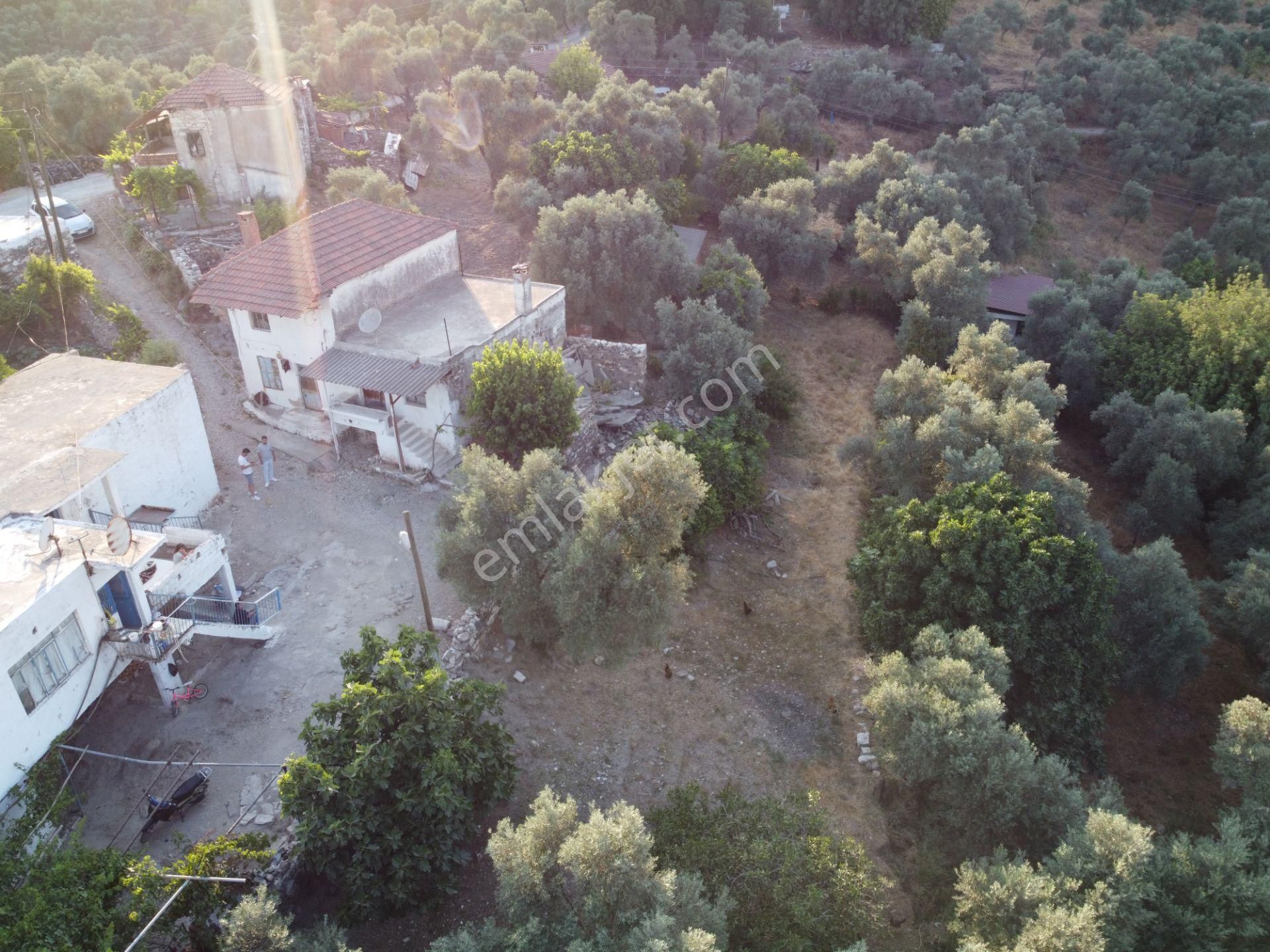 Son İndirim Avantajı: Milas Çakıralan’da Bahçeli, Müstakil Taşınmaz - Görsel 11