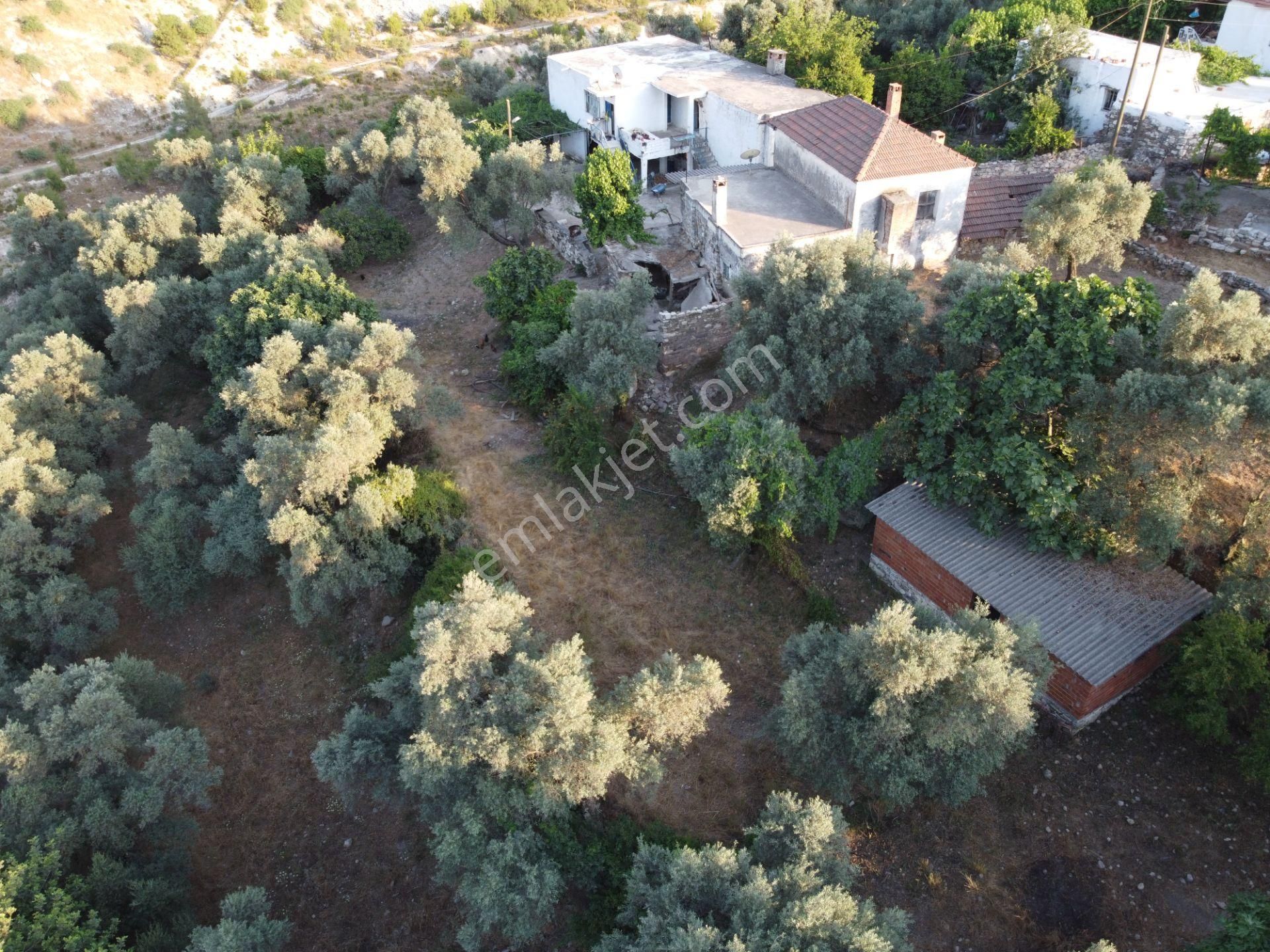 Son İndirim Avantajı: Milas Çakıralan’da Bahçeli, Müstakil Taşınmaz - Görsel 10