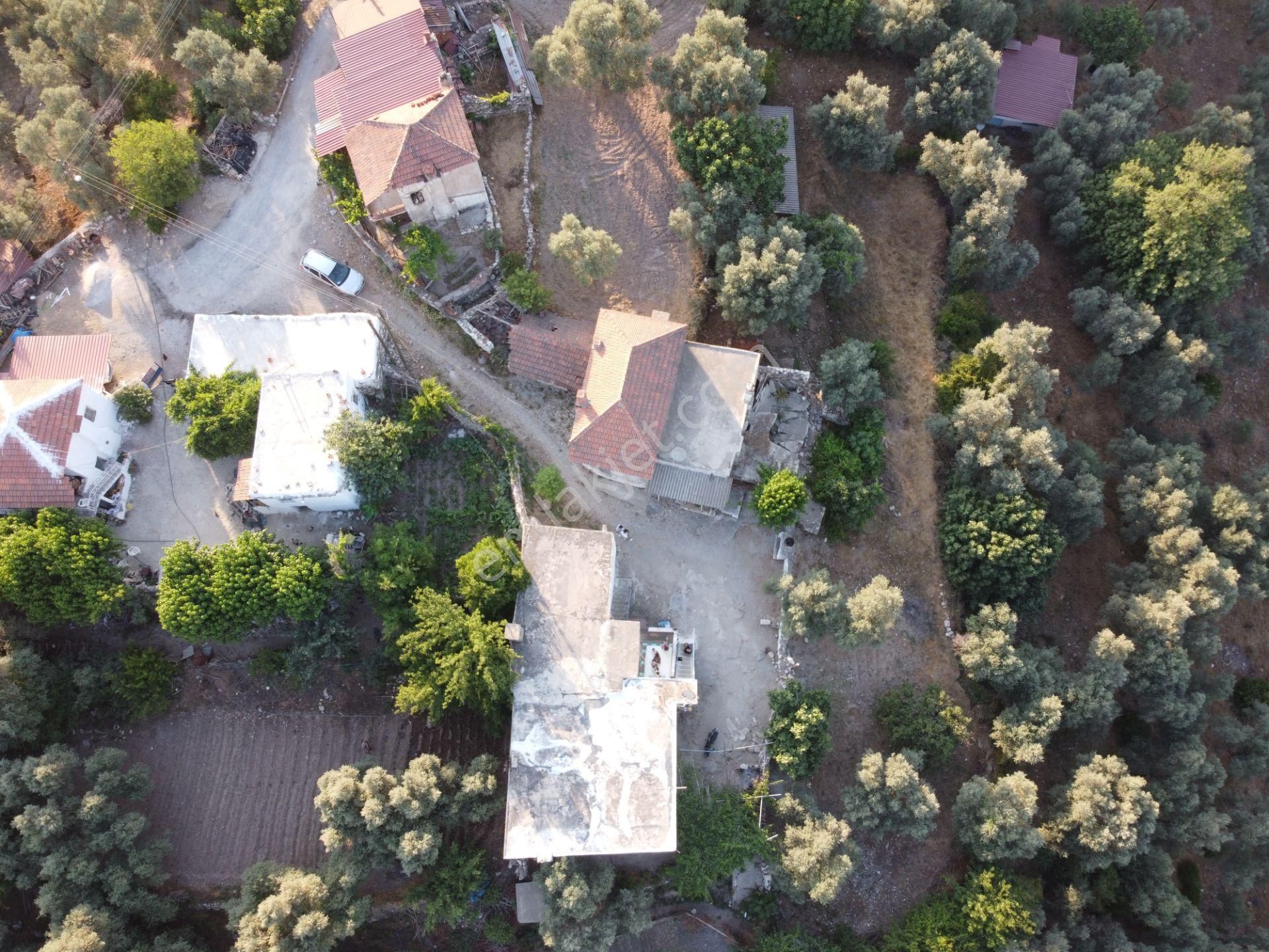 Son İndirim Avantajı: Milas Çakıralan’da Bahçeli, Müstakil Taşınmaz - Görsel 4