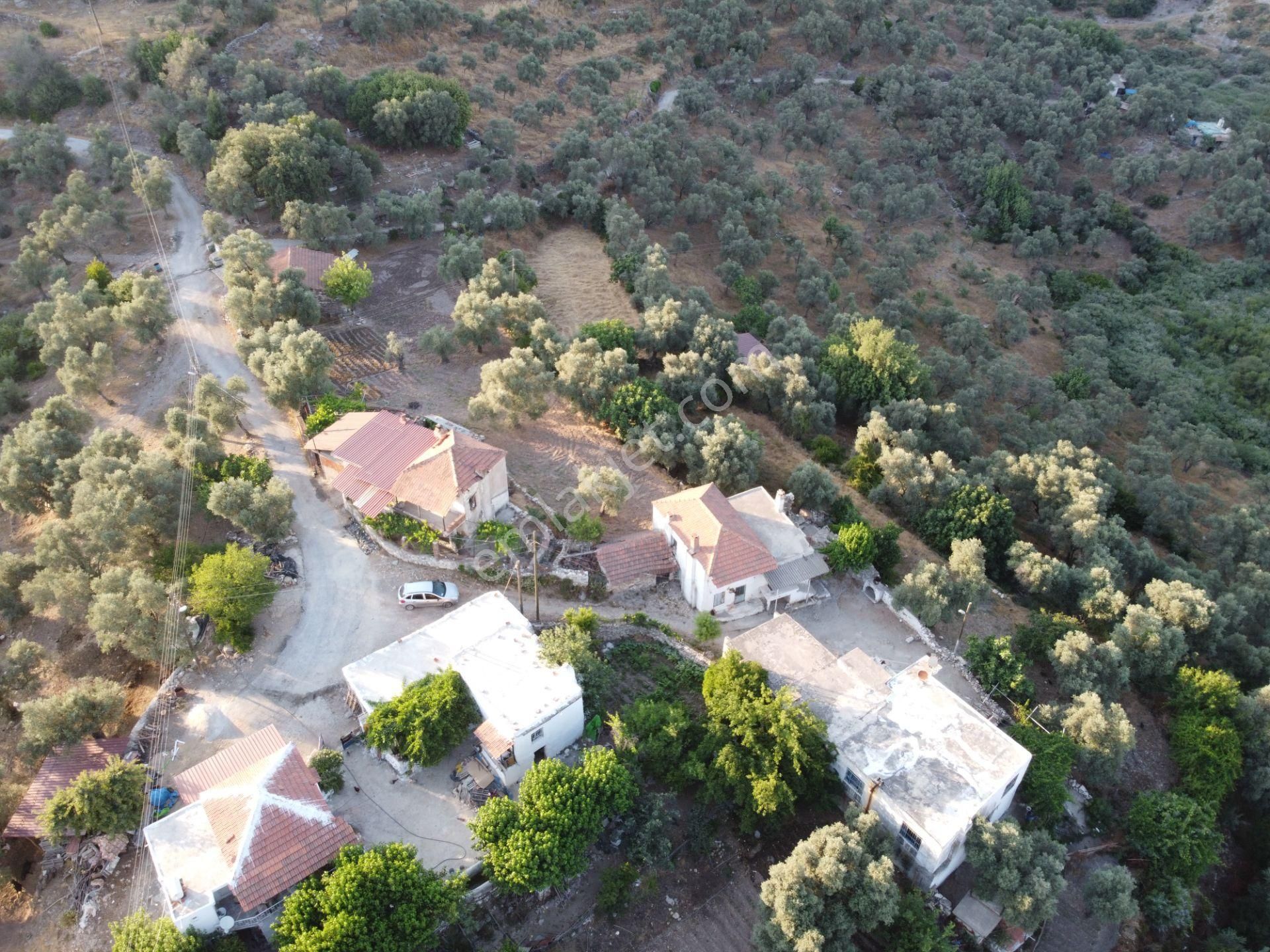 Son İndirim Avantajı: Milas Çakıralan’da Bahçeli, Müstakil Taşınmaz - Görsel 7