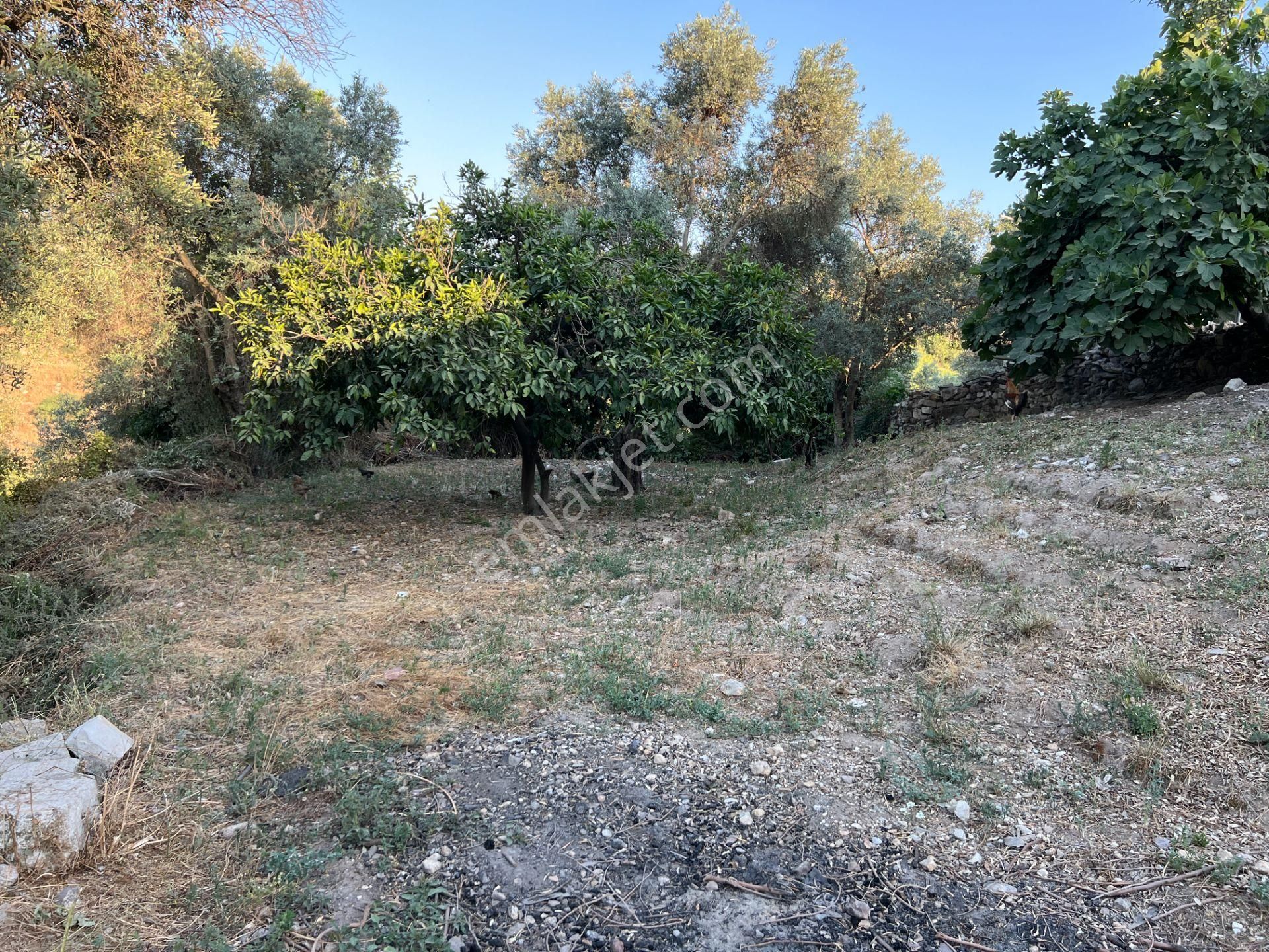 Son İndirim Avantajı: Milas Çakıralan’da Bahçeli, Müstakil Taşınmaz - Görsel 35