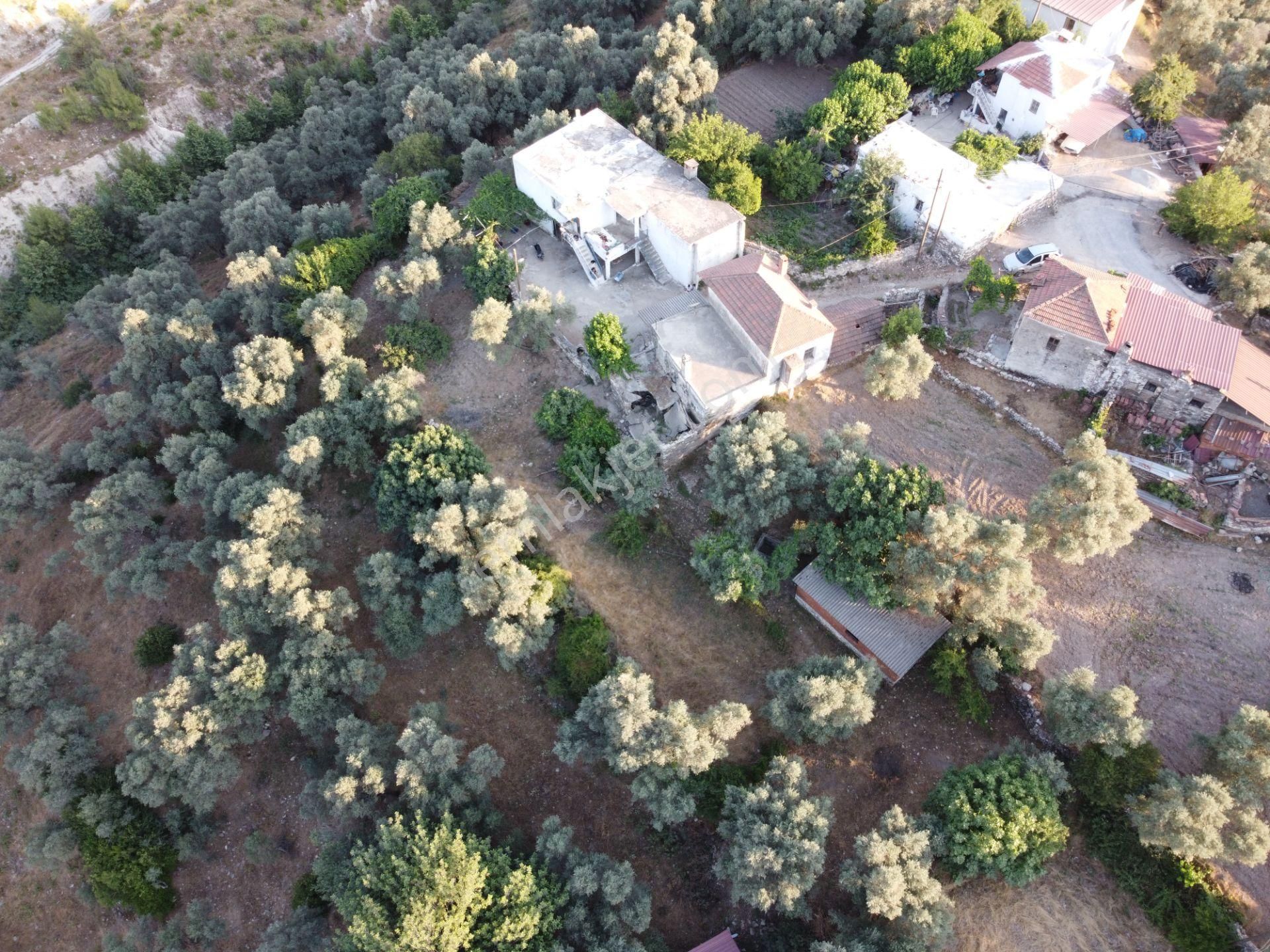 Son İndirim Avantajı: Milas Çakıralan’da Bahçeli, Müstakil Taşınmaz - Görsel 3