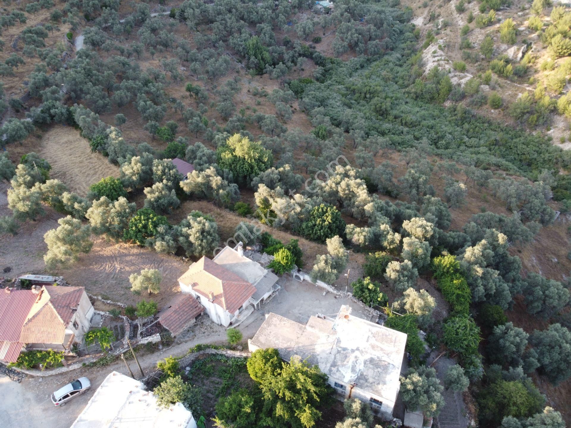 Son İndirim Avantajı: Milas Çakıralan’da Bahçeli, Müstakil Taşınmaz - Görsel 21