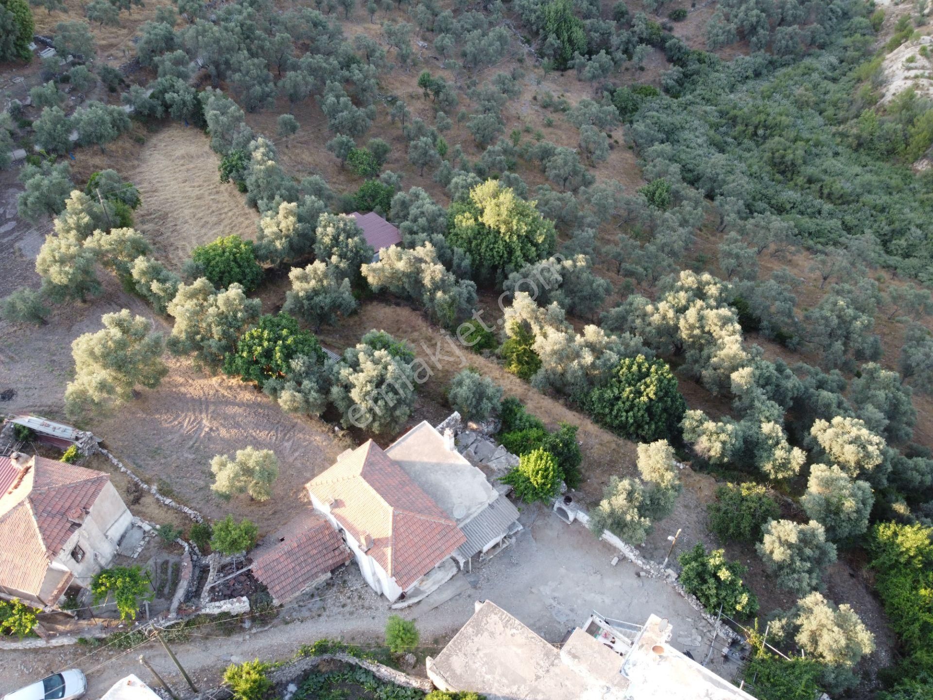 Son İndirim Avantajı: Milas Çakıralan’da Bahçeli, Müstakil Taşınmaz - Görsel 9