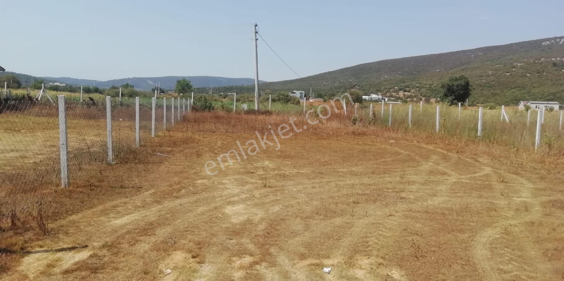 İzmir Menderes'te 507 M2 Hobi Bahçesi - Görsel 3