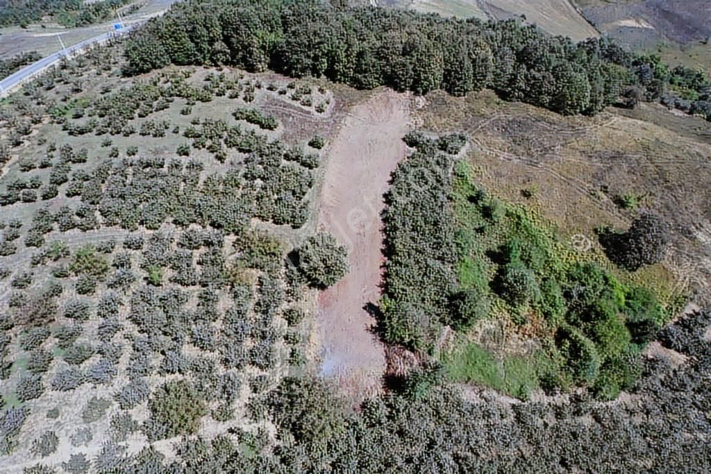 Uğur Şahinden Doğa Cenneti Kandıra'da Kaçmaz Yatırımlık Arazi - Görsel 14
