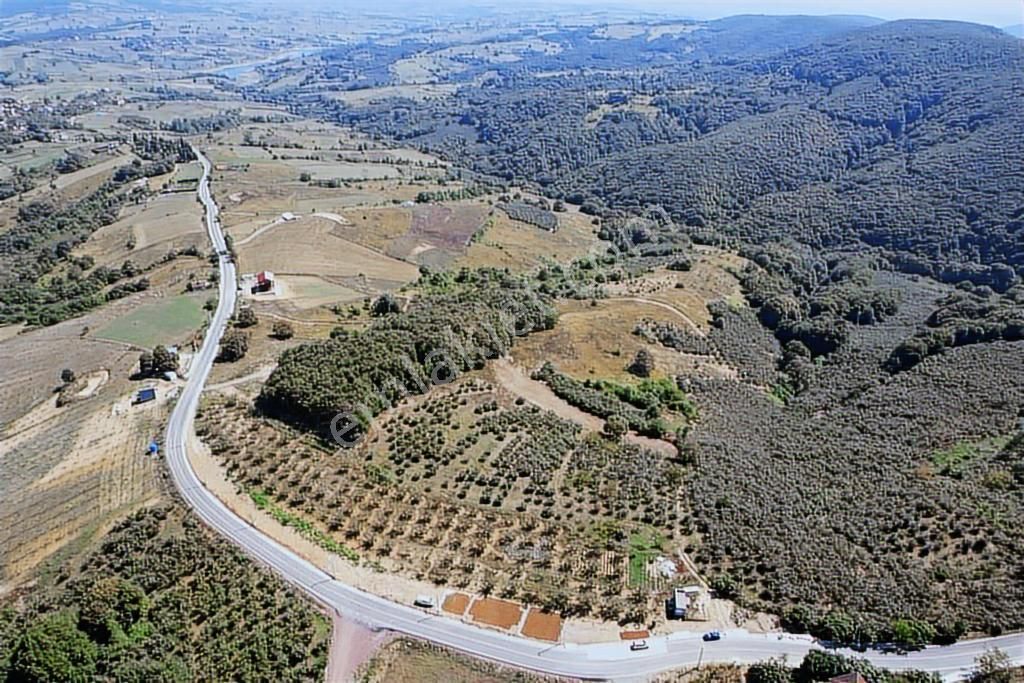 Uğur Şahinden Doğa Cenneti Kandıra'da Kaçmaz Yatırımlık Arazi - Görsel 24