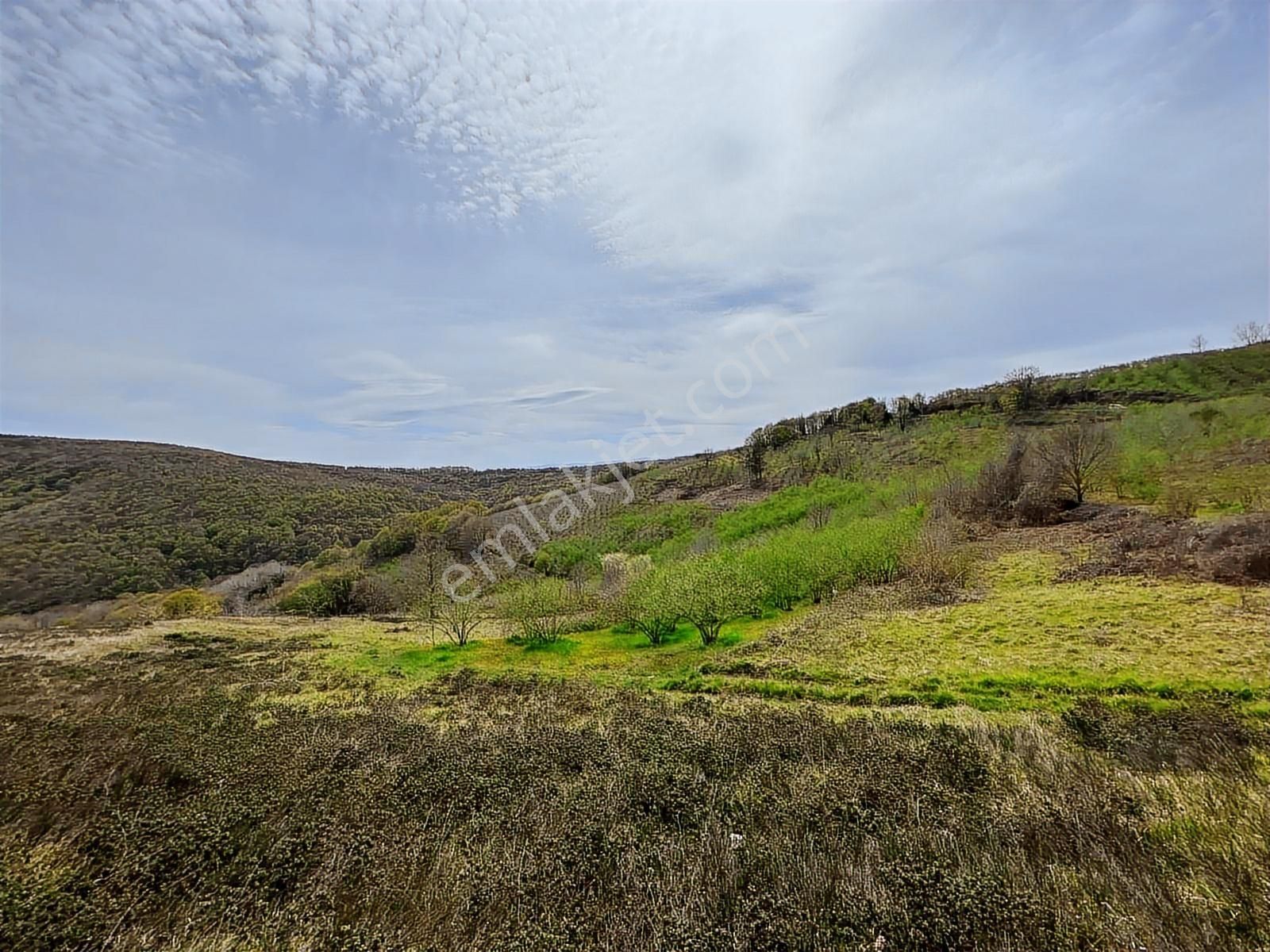 Uğur Şahinden Doğa Cenneti Kandıra'da Kaçmaz Yatırımlık Arazi - Görsel 22
