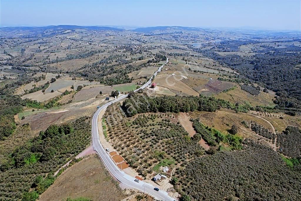 Uğur Şahinden Doğa Cenneti Kandıra'da Kaçmaz Yatırımlık Arazi - Görsel 3