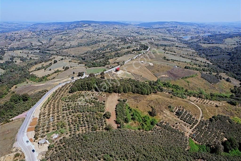 Uğur Şahinden Doğa Cenneti Kandıra'da Kaçmaz Yatırımlık Arazi - Görsel 9