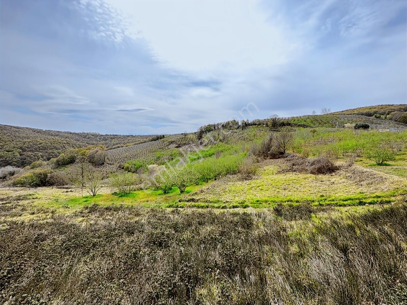 Uğur Şahinden Doğa Cenneti Kandıra'da Kaçmaz Yatırımlık Arazi - Görsel 15