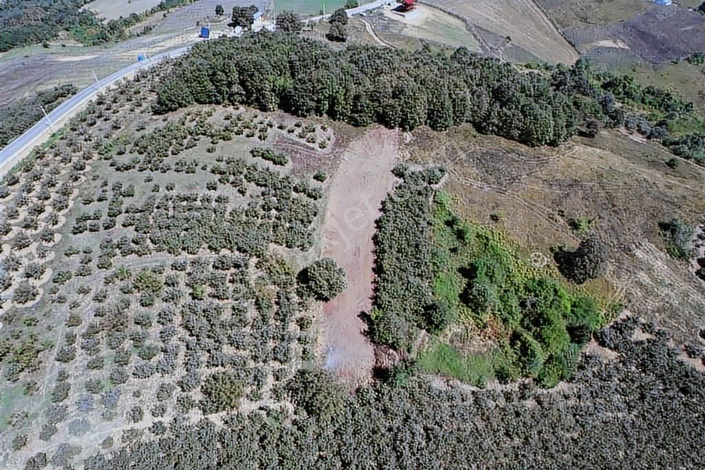 Uğur Şahinden Doğa Cenneti Kandıra'da Kaçmaz Yatırımlık Arazi - Görsel 11