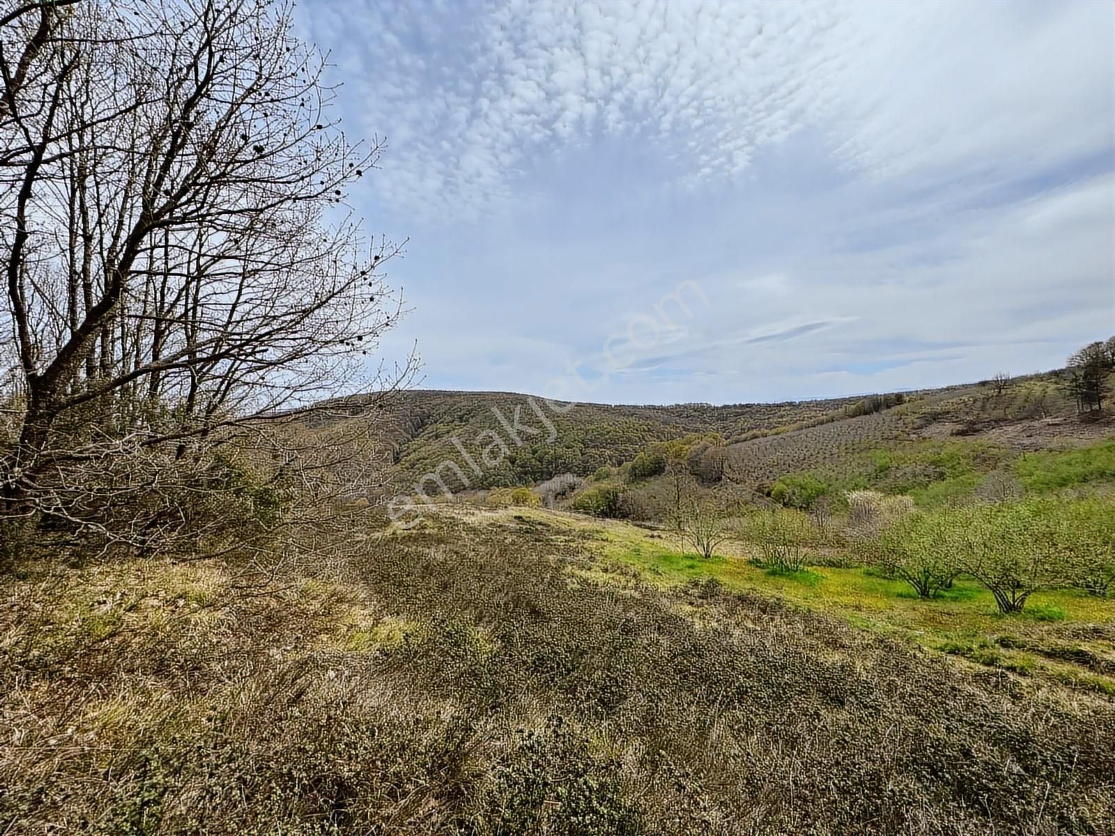 Uğur Şahinden Doğa Cenneti Kandıra'da Kaçmaz Yatırımlık Arazi - Görsel 25