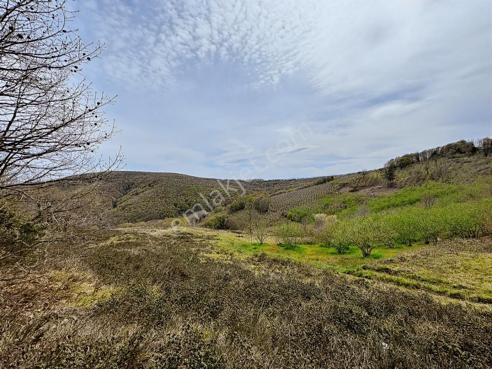 Uğur Şahinden Doğa Cenneti Kandıra'da Kaçmaz Yatırımlık Arazi - Görsel 7