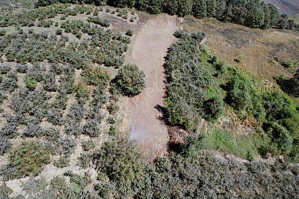 Uğur Şahinden Doğa Cenneti Kandıra'da Kaçmaz Yatırımlık Arazi - Görsel 19