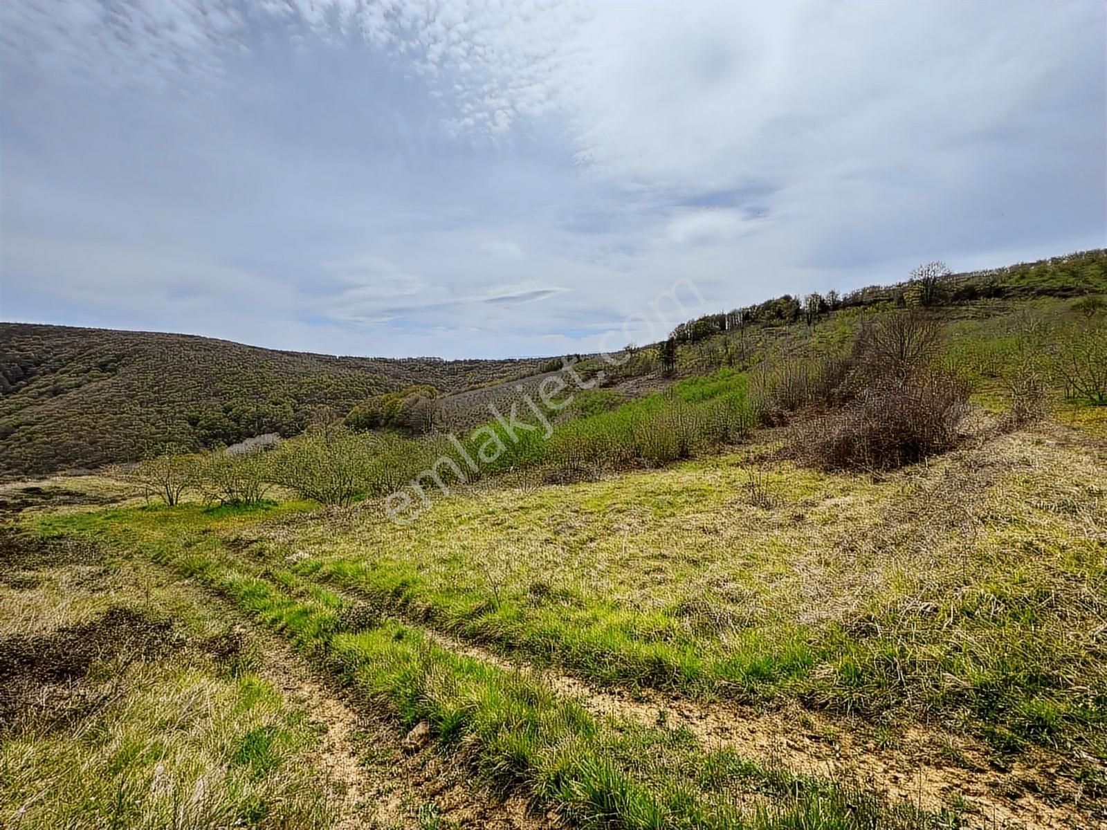 Uğur Şahinden Doğa Cenneti Kandıra'da Kaçmaz Yatırımlık Arazi - Görsel 5