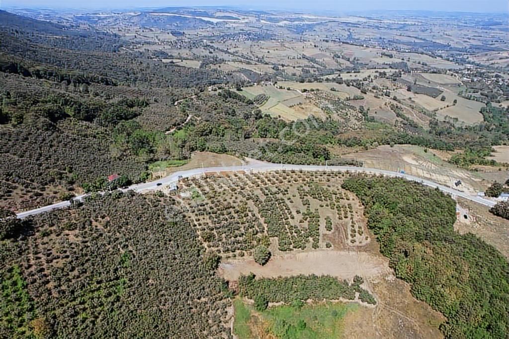 Uğur Şahinden Doğa Cenneti Kandıra'da Kaçmaz Yatırımlık Arazi - Görsel 13