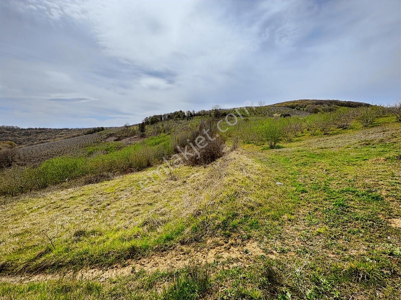 Uğur Şahinden Doğa Cenneti Kandıra'da Kaçmaz Yatırımlık Arazi - Görsel 21