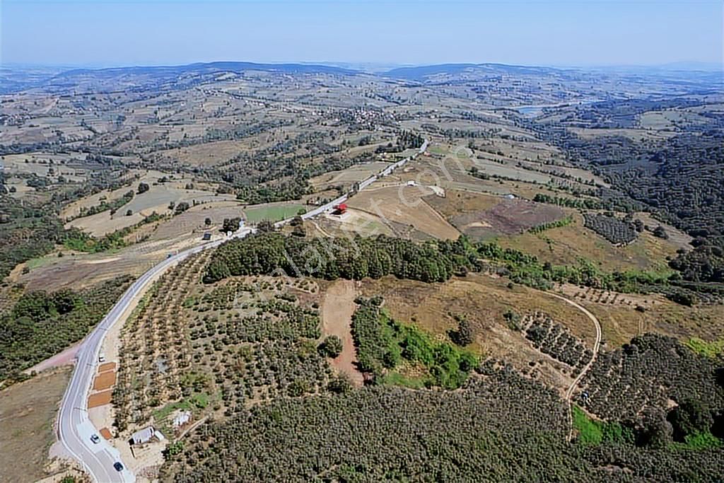 Uğur Şahinden Doğa Cenneti Kandıra'da Kaçmaz Yatırımlık Arazi - Görsel 18