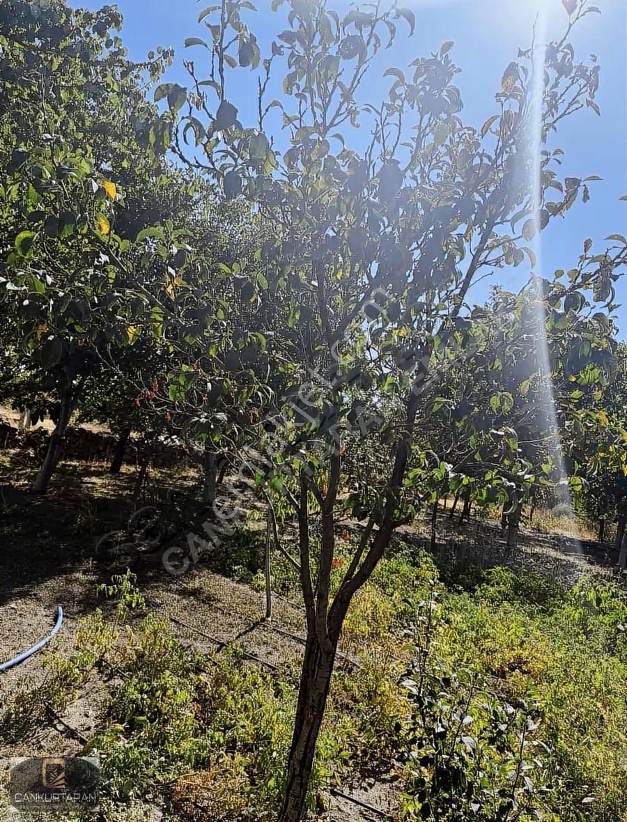 Gesi Kayabağ Da 3 Katlı Meskenli Villa - Görsel 14