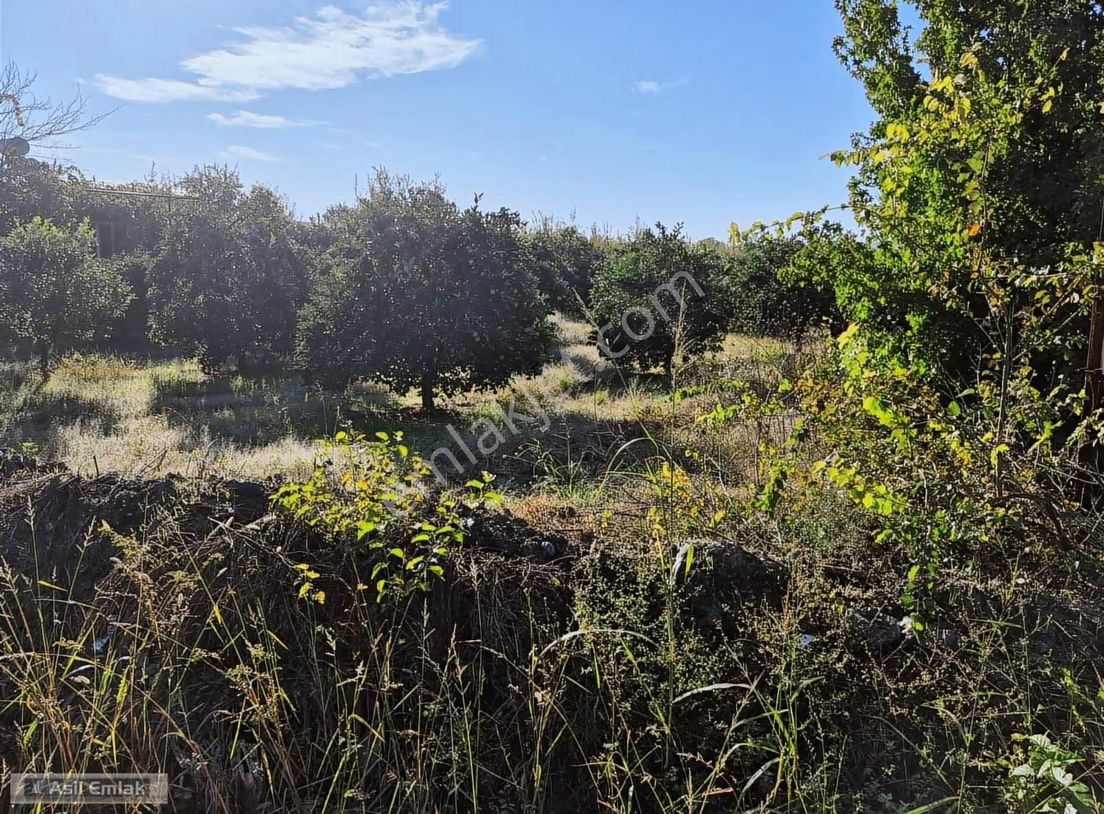 Asil Emlaktan Ortaca Yeşilyurt Mah.de Satılık Arsa - Görsel 8