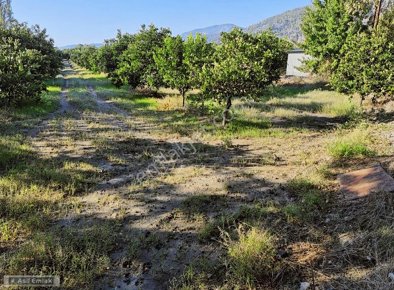 Asil Emlaktan Ortaca Yeşilyurt Mah.de Satılık Arsa - Görsel 6