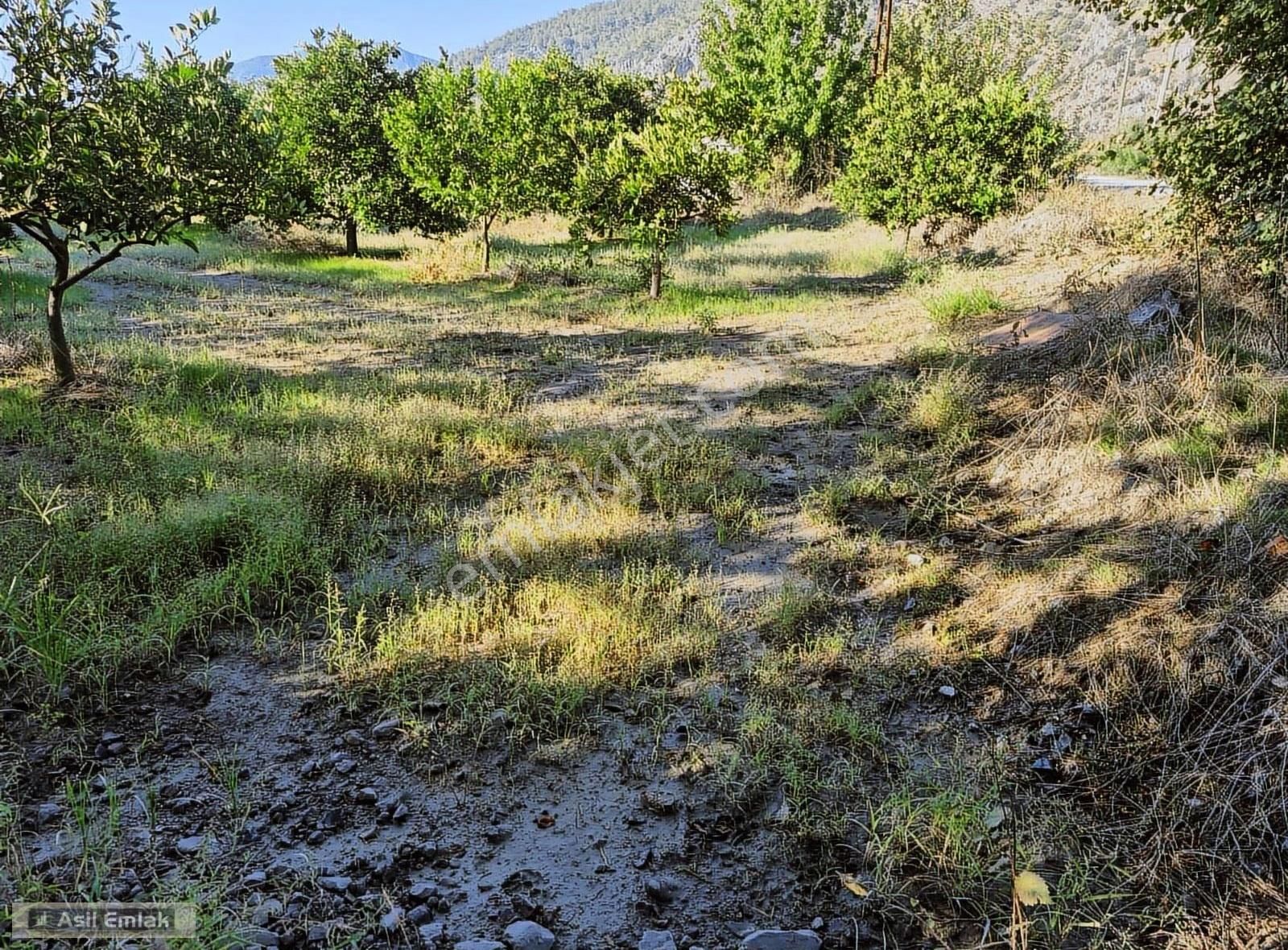 Asil Emlaktan Ortaca Yeşilyurt Mah.de Satılık Arsa - Görsel 5