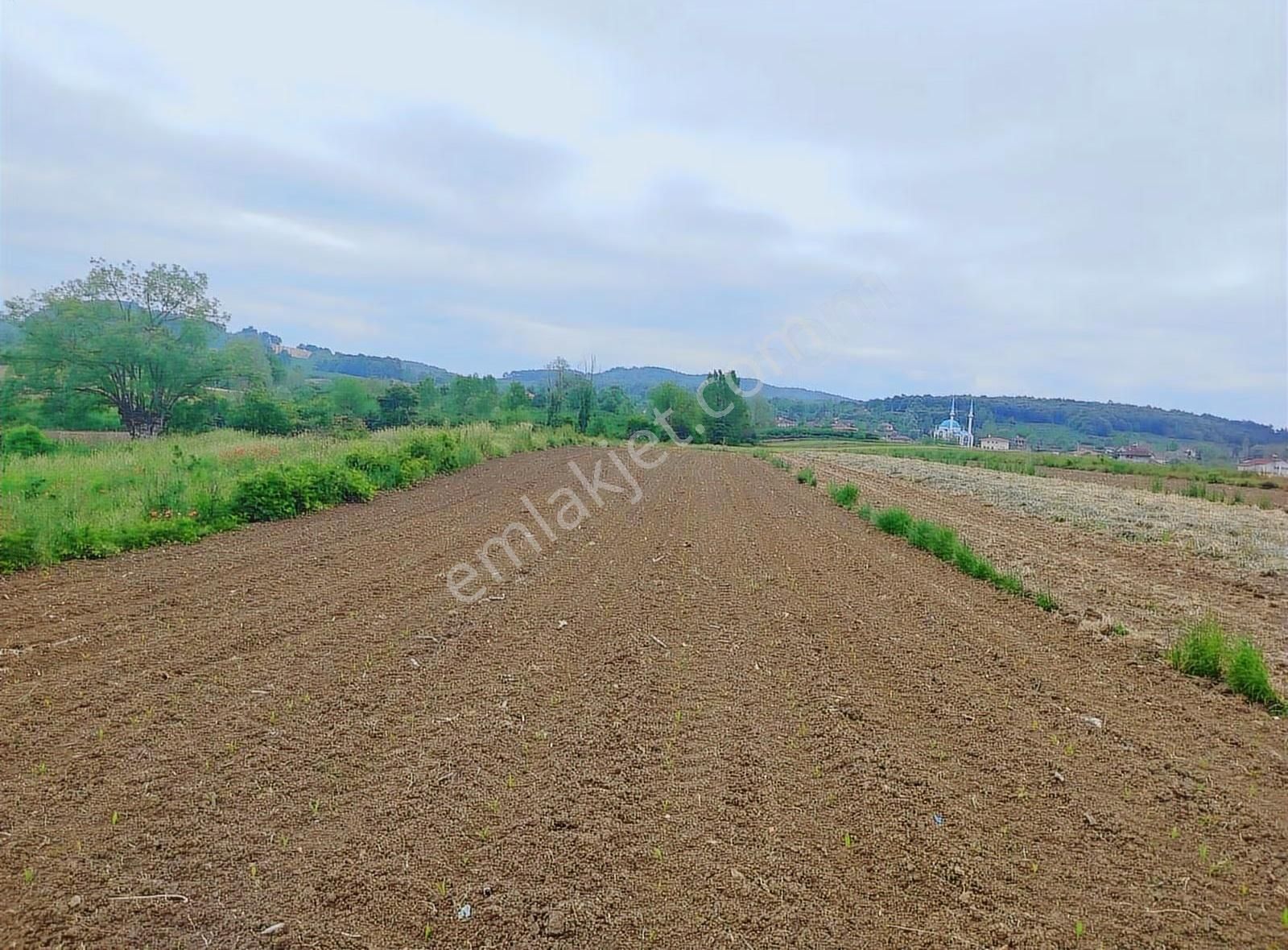 Alemdar Gayrimenkul Hendek Karatoprak Mah.1200 M2 Satılık Tarla