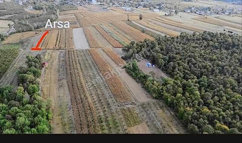 Alemdar Gayrimenkul Hendek Karatoprak Mah.1200 M2 Satılık Tarla - Görsel 7