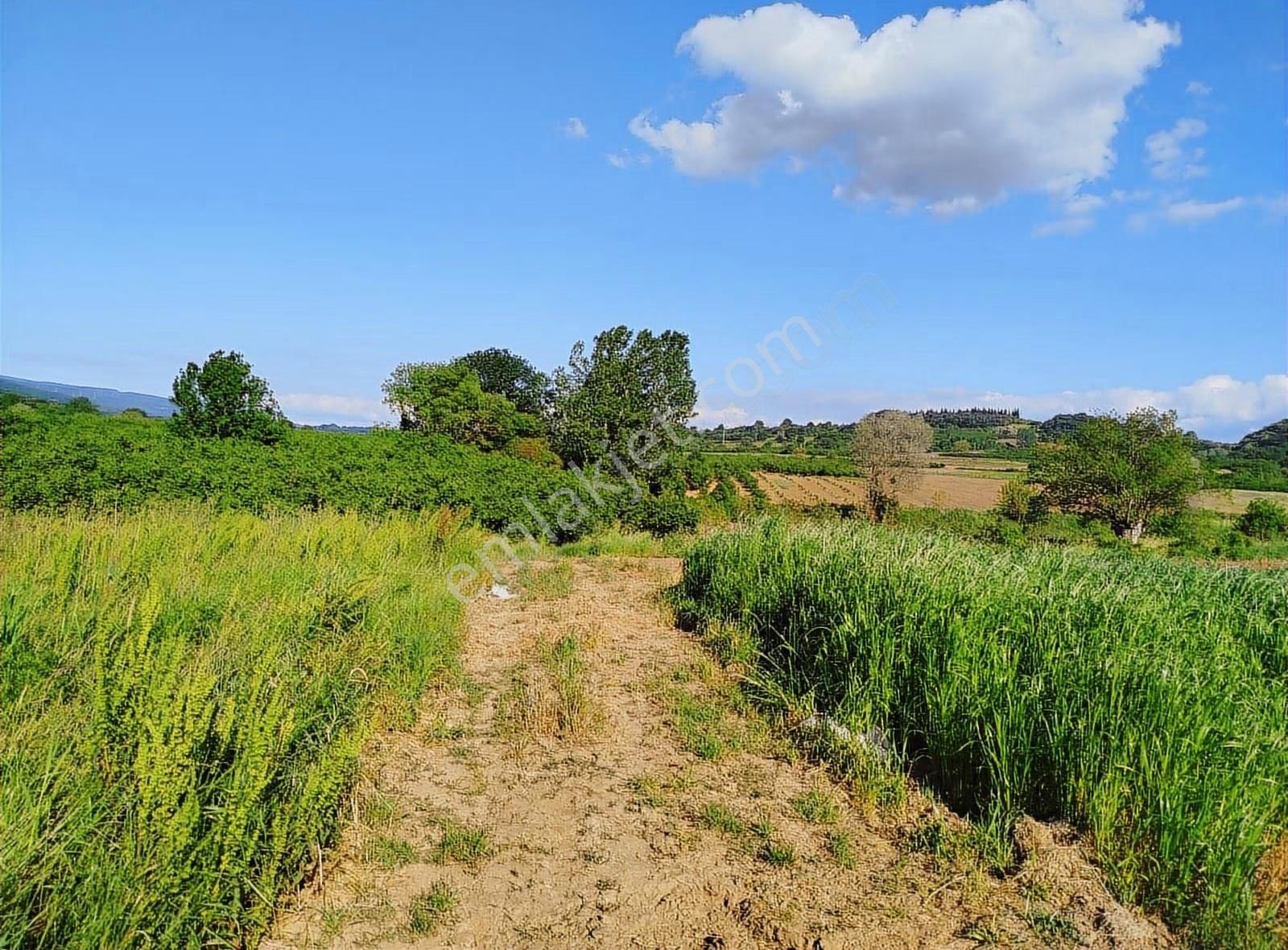 Alemdar Gayrimenkul Hendek Karatoprak Mah.1200 M2 Satılık Tarla - Görsel 12
