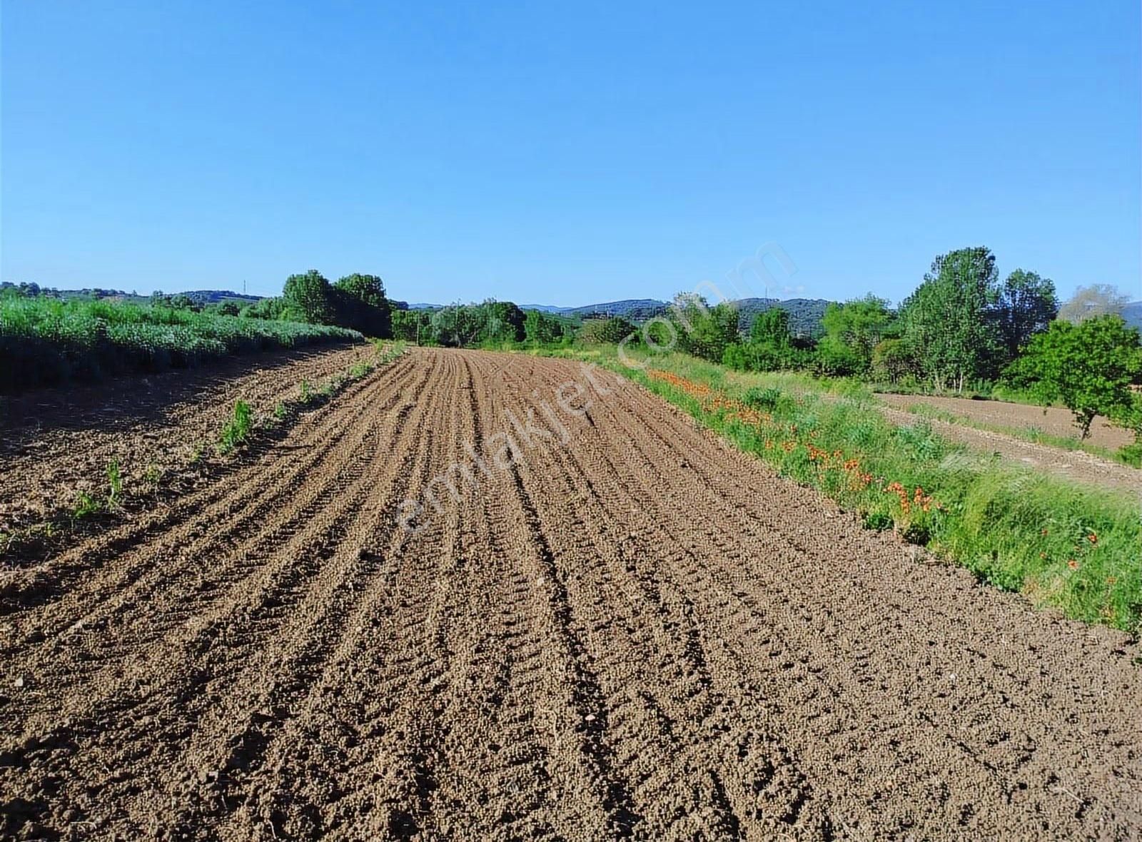 Alemdar Gayrimenkul Hendek Karatoprak Mah.1200 M2 Satılık Tarla - Görsel 10