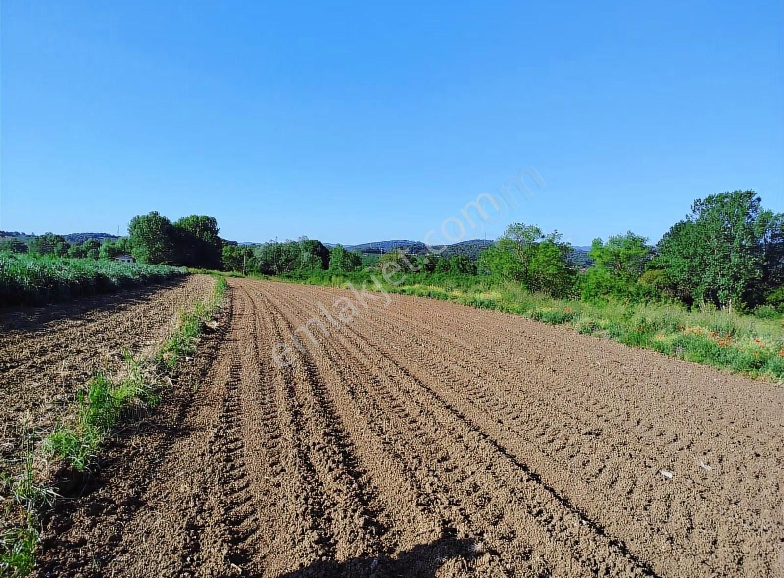 Alemdar Gayrimenkul Hendek Karatoprak Mah.1200 M2 Satılık Tarla - Görsel 8