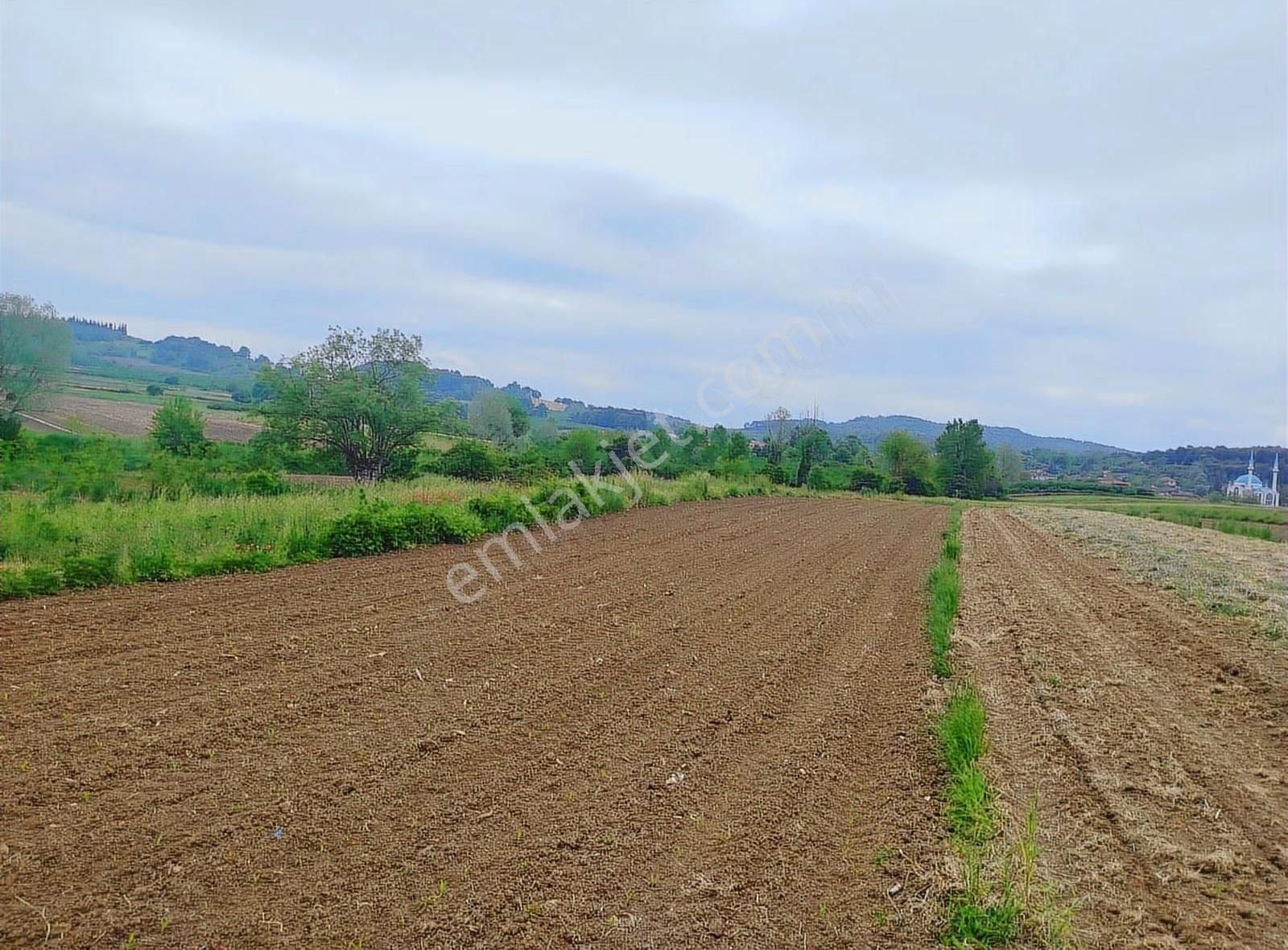 Alemdar Gayrimenkul Hendek Karatoprak Mah.1200 M2 Satılık Tarla - Görsel 5